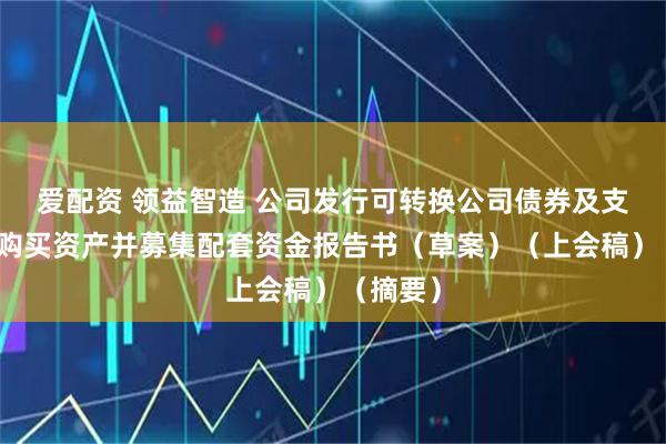 爱配资 领益智造 公司发行可转换公司债券及支付现金购买资产并募集配套资金报告书（草案）（上会稿）（摘要）