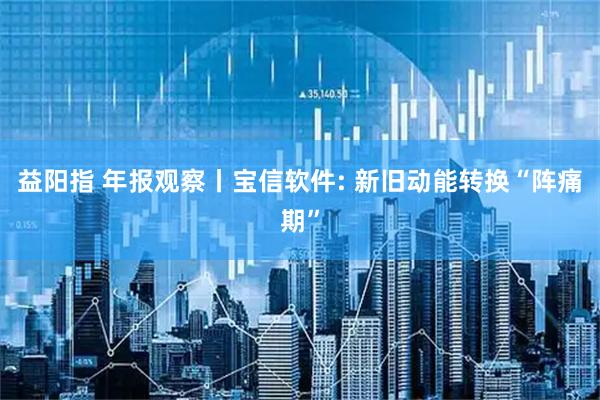 益阳指 年报观察丨宝信软件: 新旧动能转换“阵痛期”