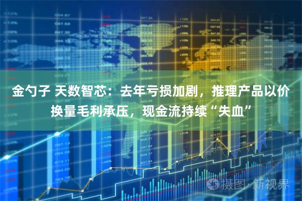金勺子 天数智芯：去年亏损加剧，推理产品以价换量毛利承压，现金流持续“失血”