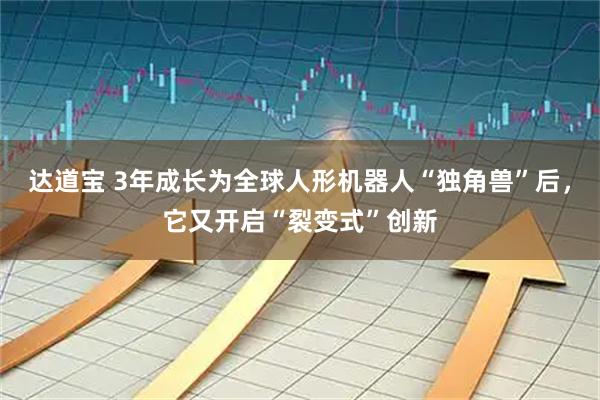 达道宝 3年成长为全球人形机器人“独角兽”后，它又开启“裂变式”创新